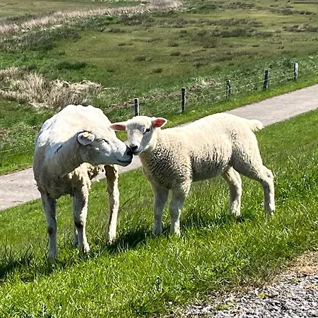 Valentina Auf Sylt 펜션